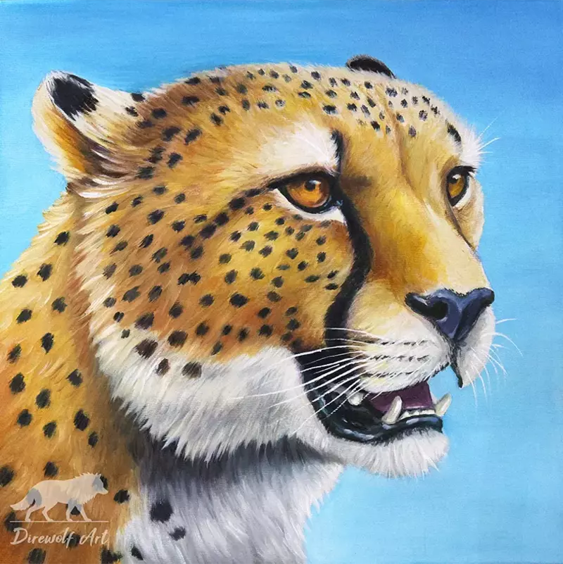 Cheetah | Oil on Canvas, 40 x 40 cm, 2024